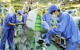 Chủ động ''Làm tổ đón đại bàng''